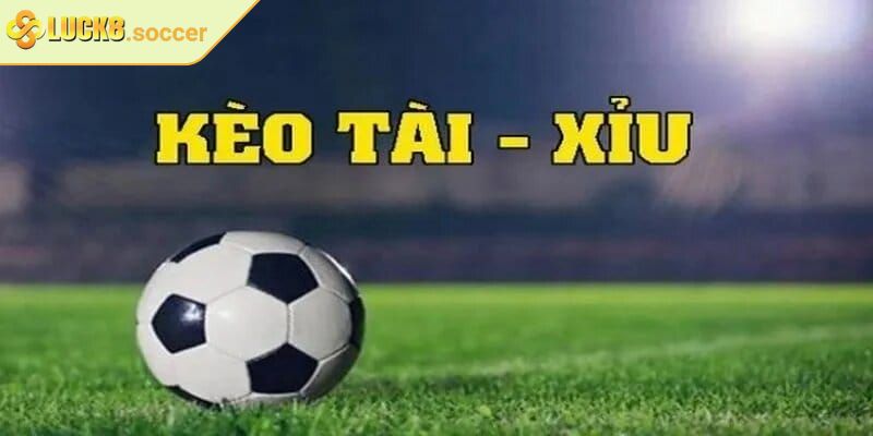 Kèo Tài Xỉu Bóng Đá LUCK8 Thu Hút Cược Thủ Yêu Thể Thao 2 Phân loại các hình thức cược tài xỉu phổ biến trên LUCK8