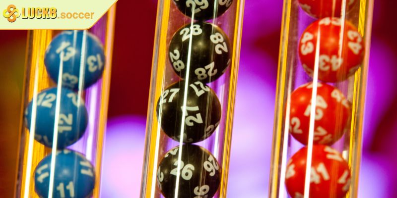 Lô Khung LUCK8 - Mô Hình Nuôi Lô Hiệu Quả Và Kinh Nghiệm Hay 2 Nuôi lô khung trong 3 ngày