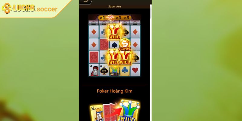 Super Ace LUCK8 - Luật Dễ Hiểu Và Chiến Lược Hiệu Quả 2 Chi tiết cơ chế hoạt động và luật Super Ace tại LUCK8